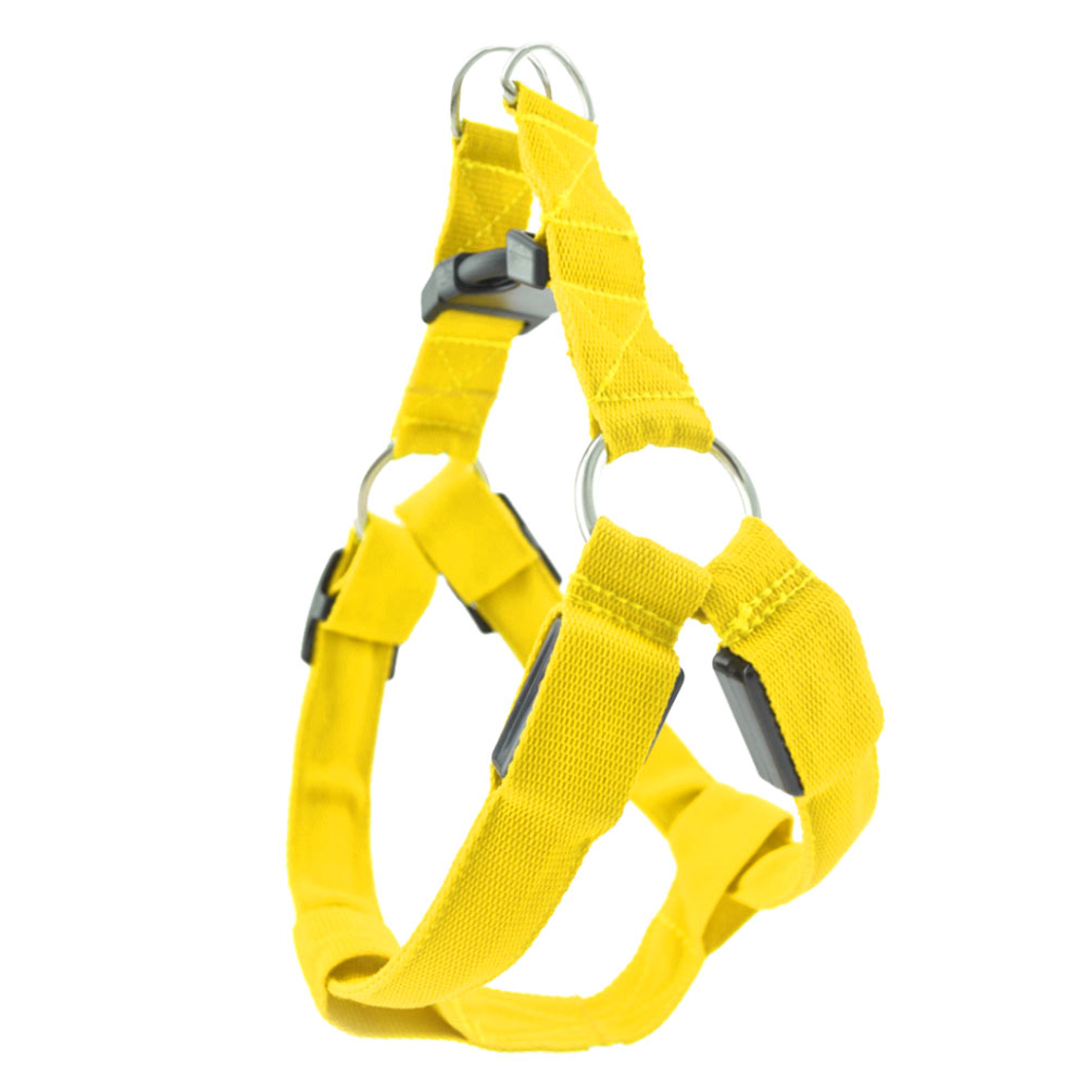 LED Flashing Light Pet Dog Harness Vest Nylon Leash Rope Belt Collar