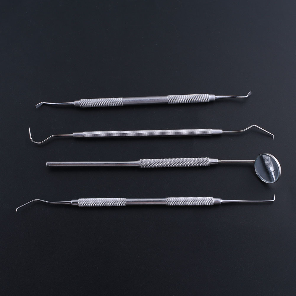 Professional Stainless Steel Dental Inspection Picks Mirror Tools