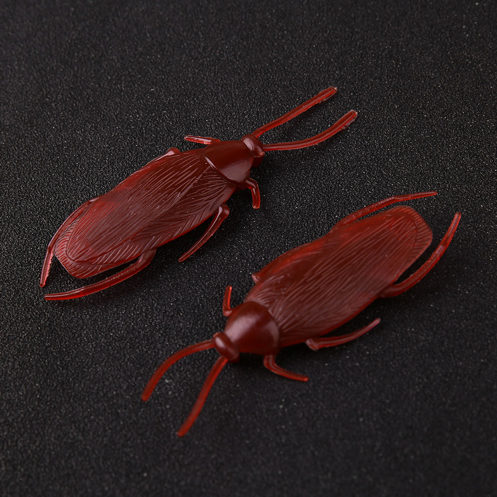cockroach stuffed animal