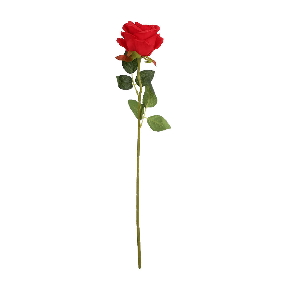 single rose