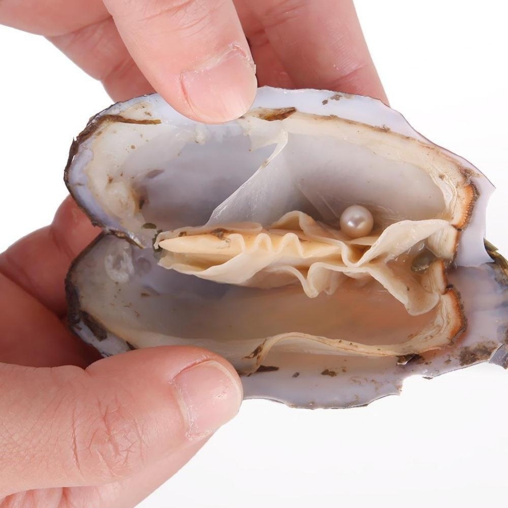 Wholesale Akoya Oysters-With-Real-Pearl-6-8mm-Freshwater-Pearl-Vacuum