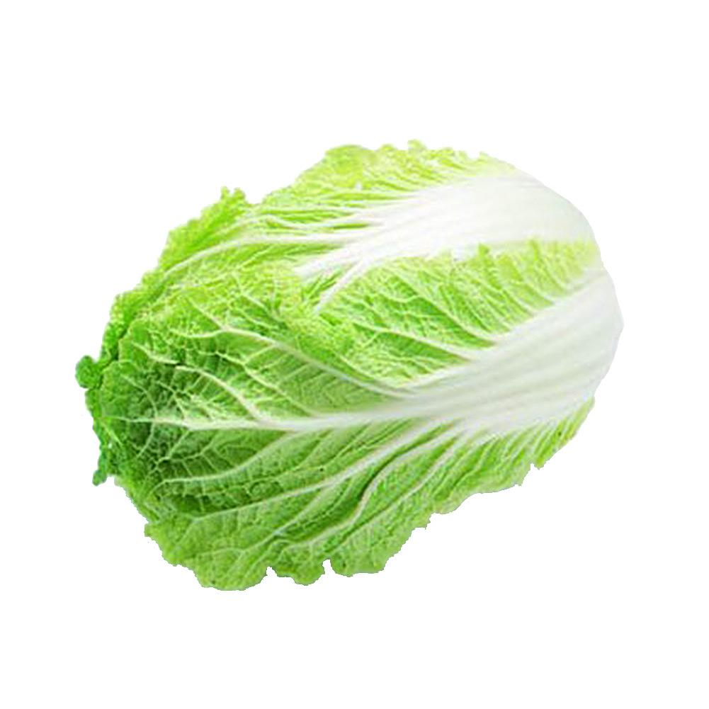 100pcs canton chinese cabbage seeds vegetable organic plant home