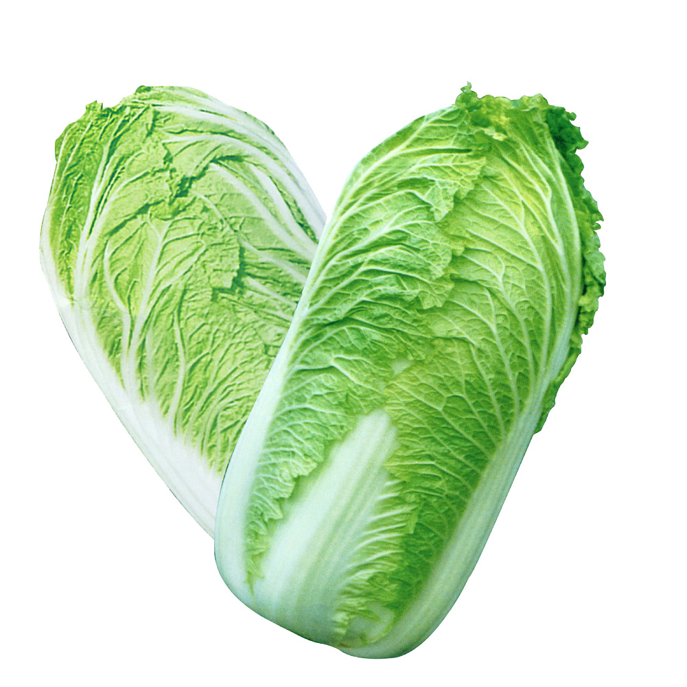 100pcs canton chinese cabbage seeds vegetable organic plant home